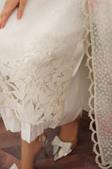 PURE ORGANGA COLLECTION