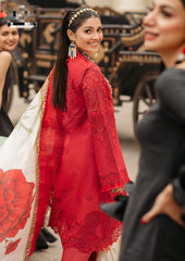 PURE COTTON COLLECTION