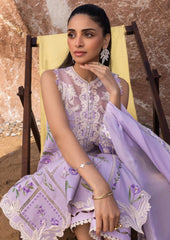 PURE COTTON COLLECTION