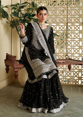 PURE CHIFFON COLLECTION