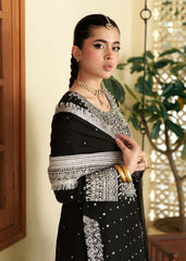 PURE CHIFFON COLLECTION